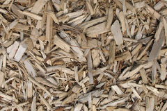 biomass boilers Magheramorne